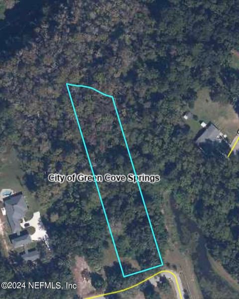 Unimproved Land in Green Cove Springs FL 1302 EAST Street.jpg