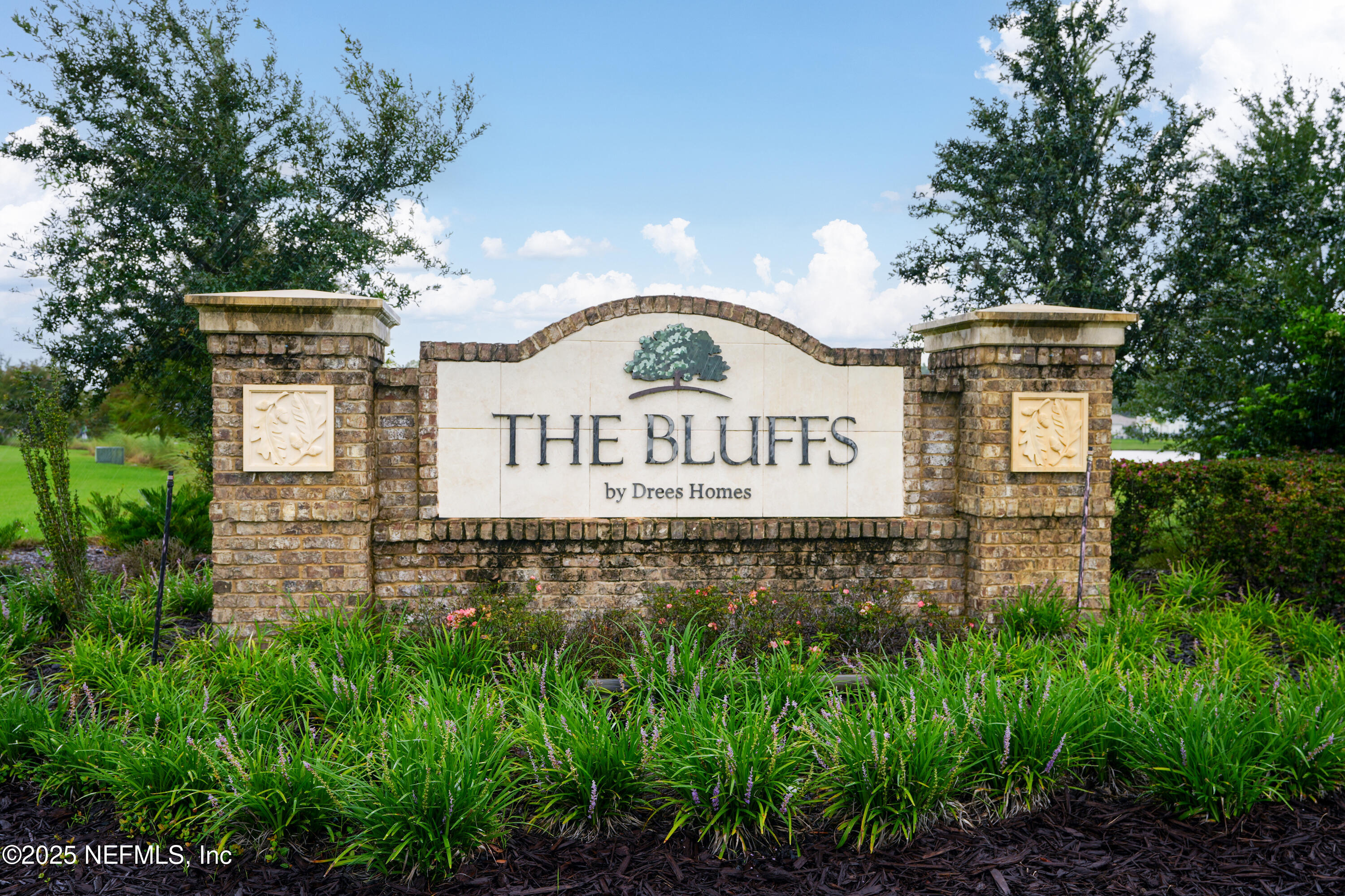 50 PINE FOREST Court