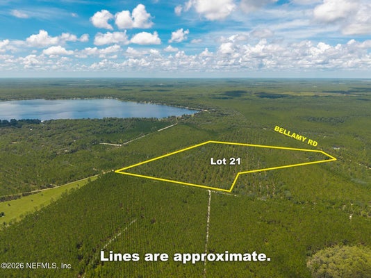 BELLAMY RD, FLORAHOME, FL 32140 - Image 4e5a1d9316c7d9622d385a66ffdda916/670618886