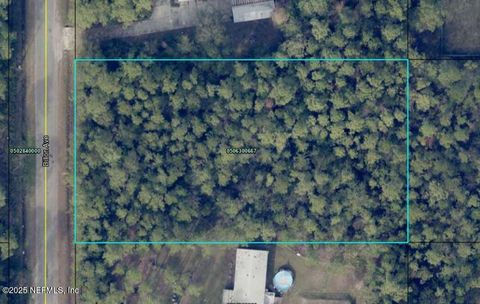 10230 DILLON Avenue Hastings FL 32145