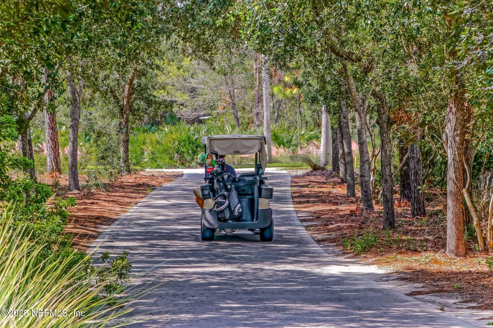 St. Augustine, Florida 32095, United States, 4 Bedrooms Bedrooms, ,3 BathroomsBathrooms,Residential,Active,125345