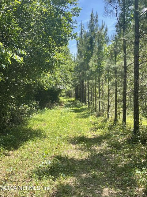Unimproved Land in Madison FL 8002 ROCKY FORD Road.jpg