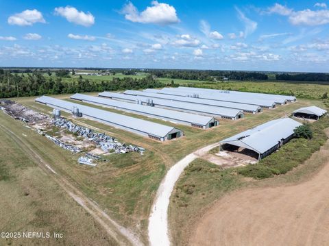 1083 SW COUNTY ROAD 351 Mayo FL 32066