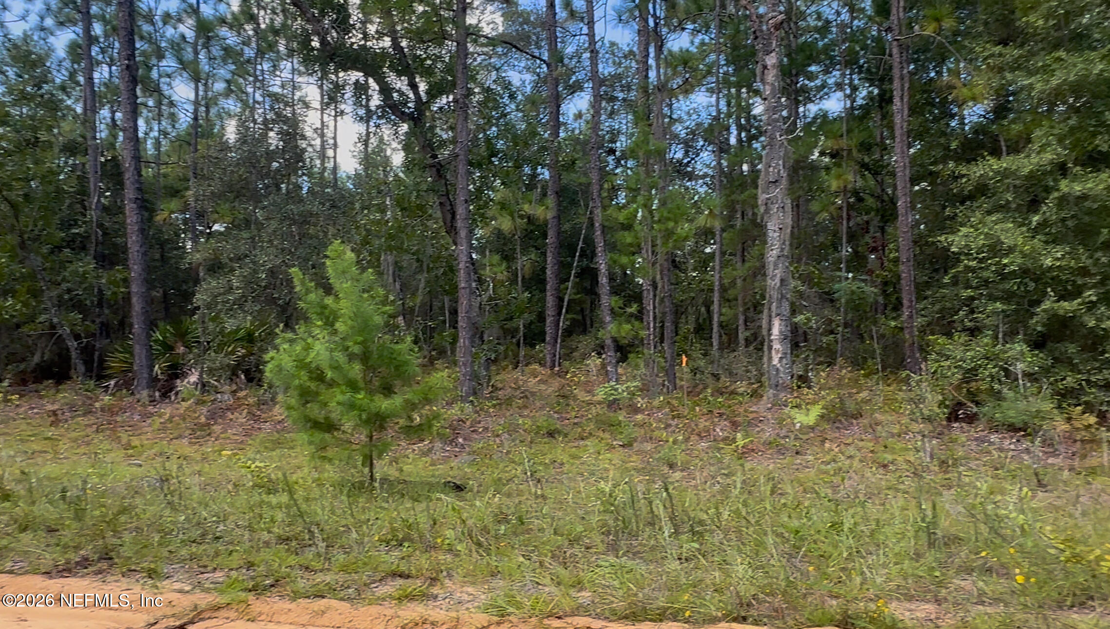 27 NEISMAN AVENUE LOT 27