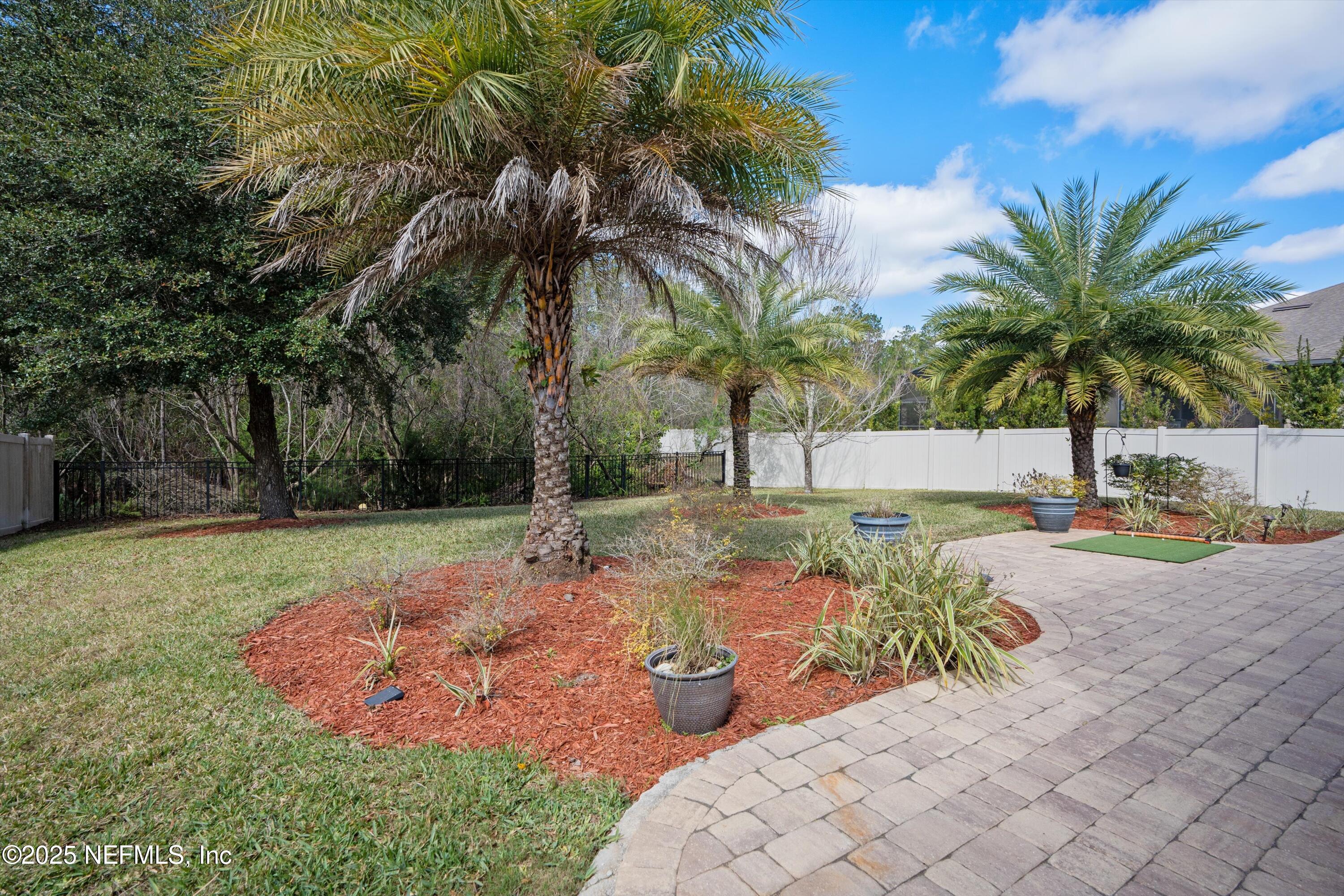 141 LIPIZZAN Trail