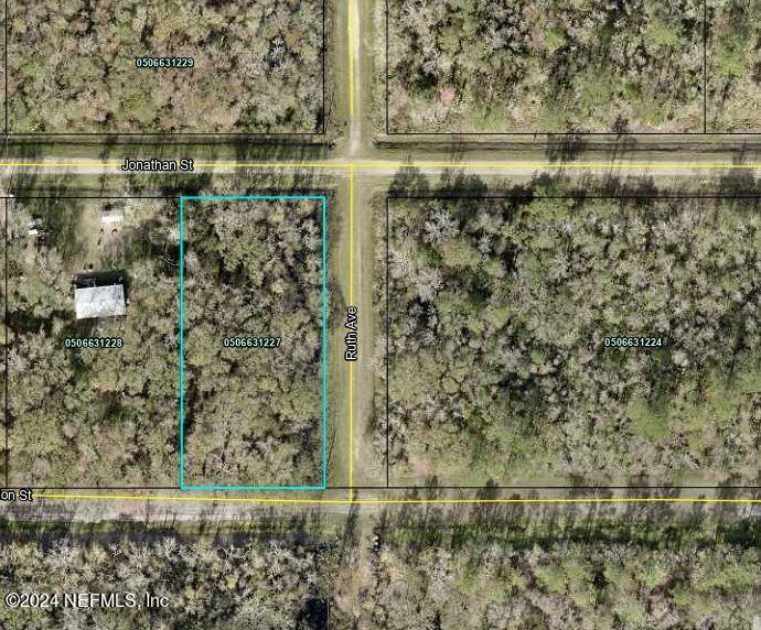 Hastings, FL home for sale located at 4831 JONATHAN Street, Hastings, FL 32145