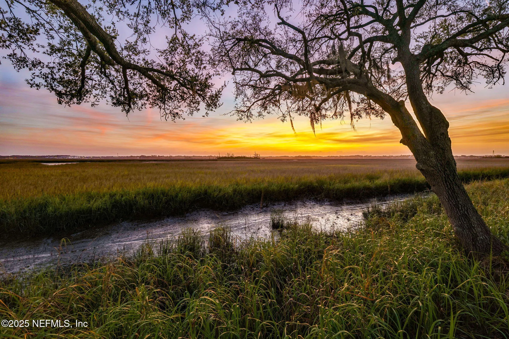 Jacksonville Beach, Florida, 32250, United States, 3 Bedrooms Bedrooms, ,3 BathroomsBathrooms,Residential,Active,1954487