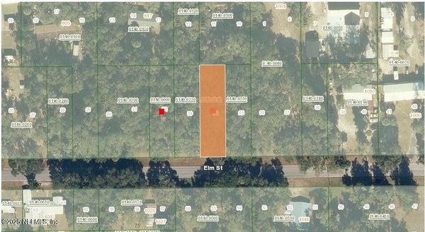 1024 ELM ST, WELAKA, FL 32193 - Image 589ec0dabf90f62acccdb0abfc99f3a6/467991204