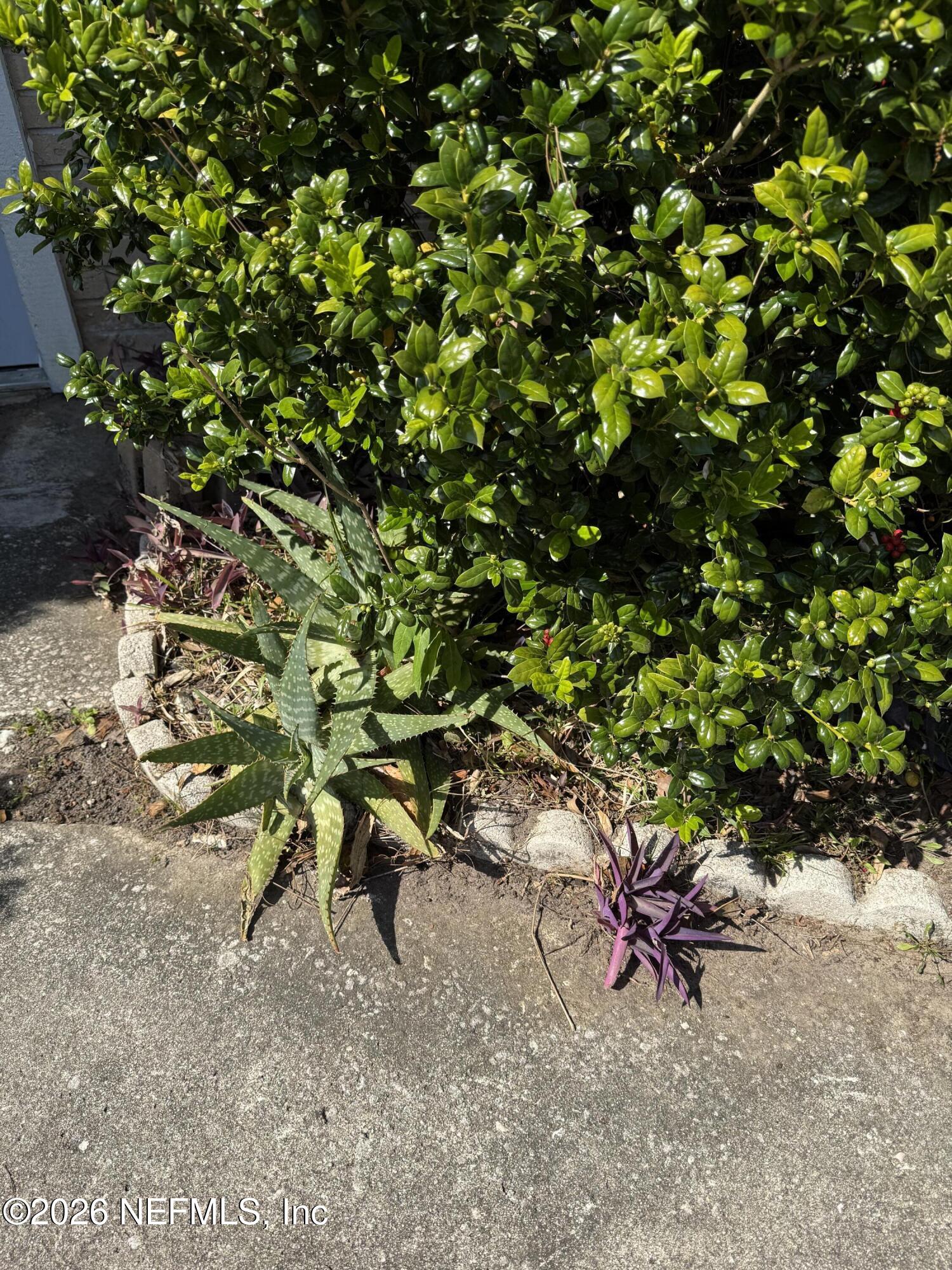 9305 GENNA TRACE Trail