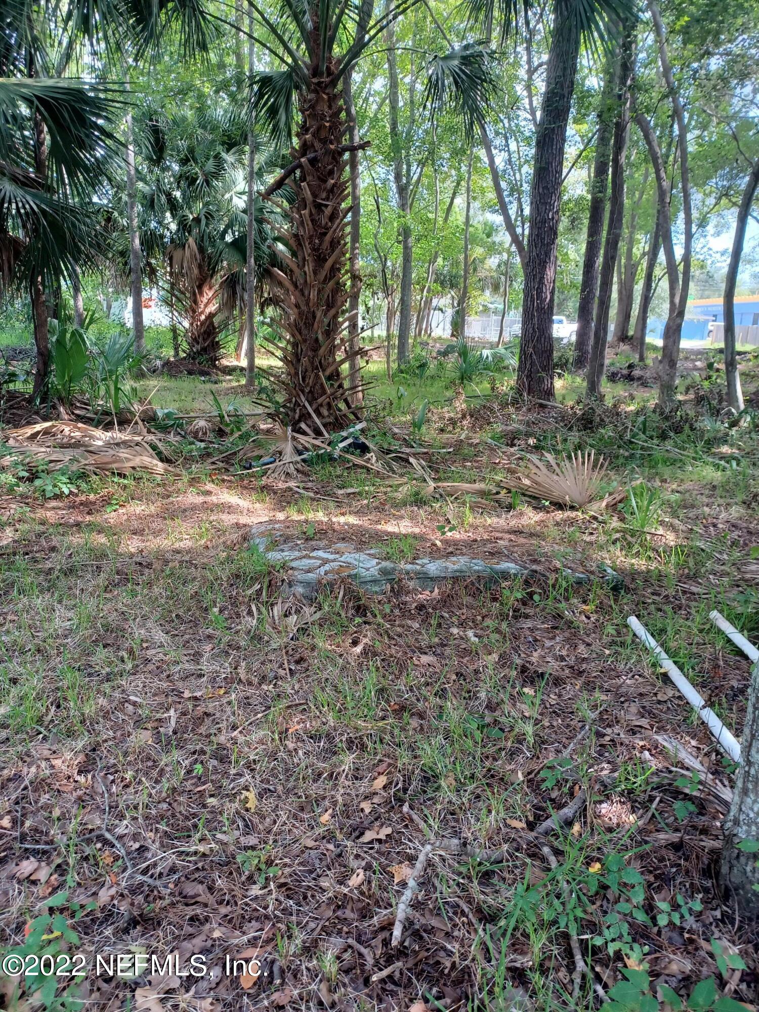 Photo 4 of 8 of 0 BLARNEY STONE Court land