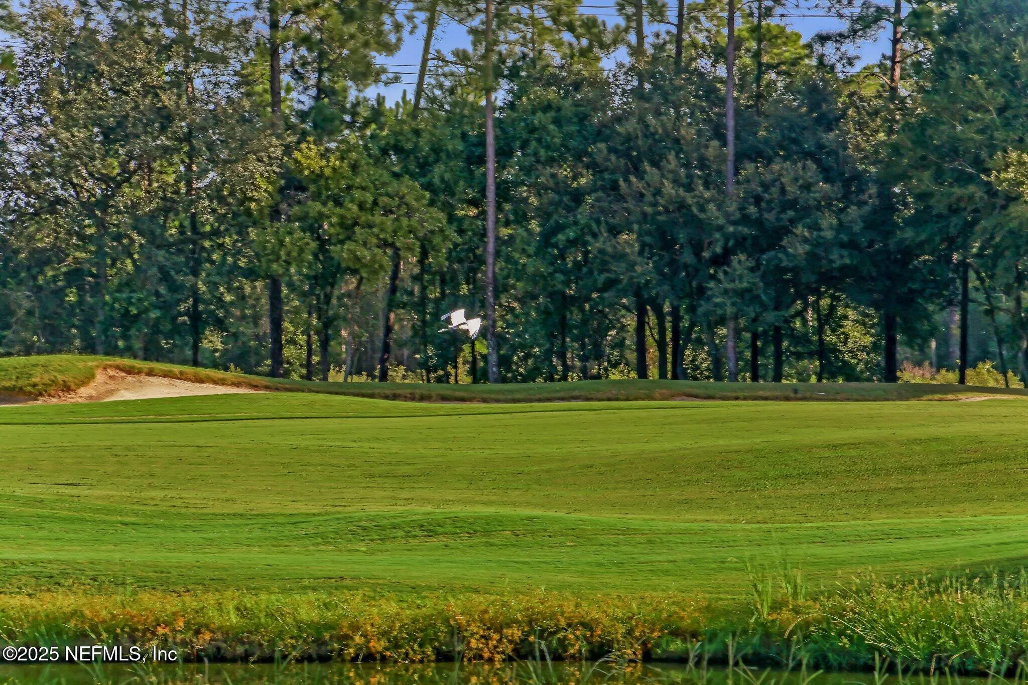 Fernandina Beach, Florida 32034, United States, 4 Bedrooms Bedrooms, ,8 BathroomsBathrooms,Residential,Active,219438