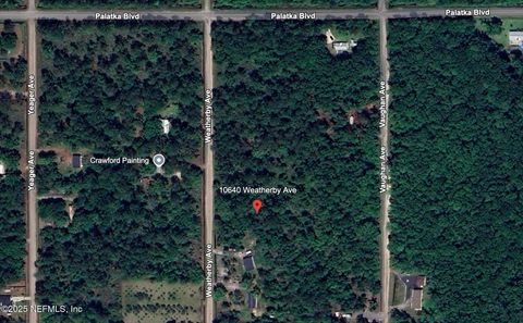 10640 WEATHERBY Avenue Hastings FL 32145