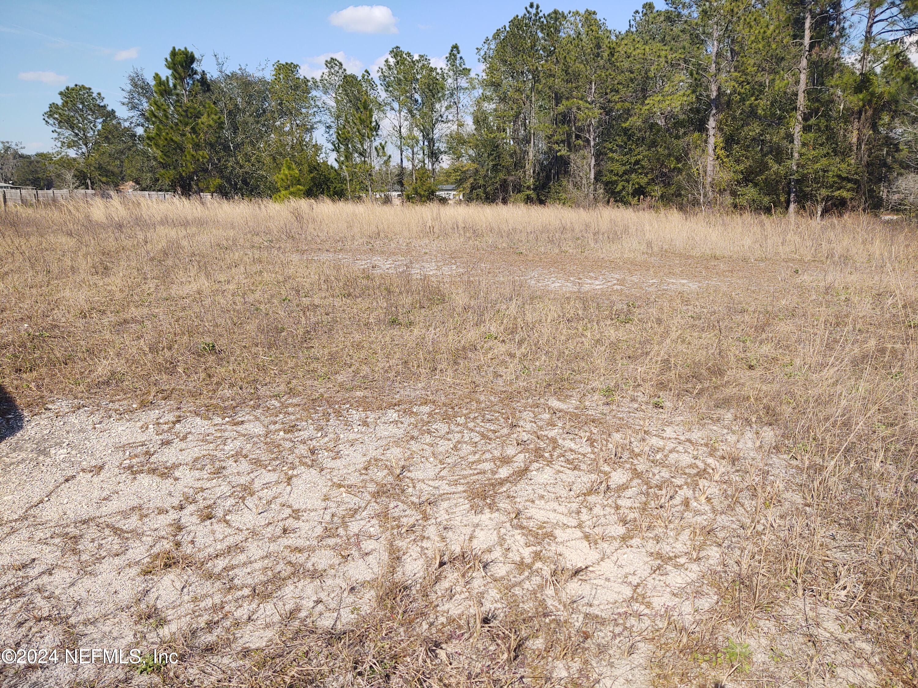 Middleburg, FL home for sale located at 4164 County Road 218, Middleburg, FL 32068