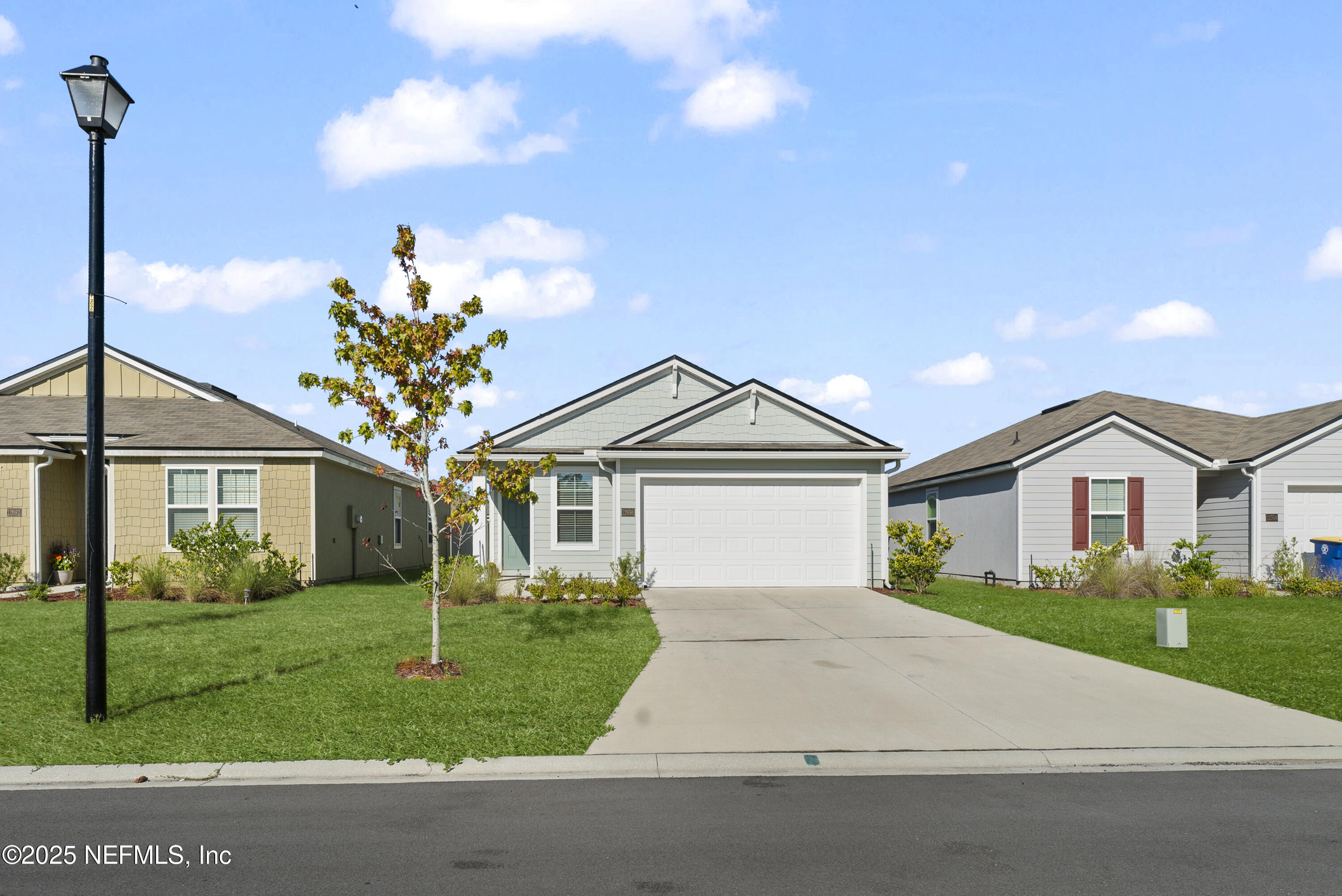 12698 CUCUMBER TREE Street