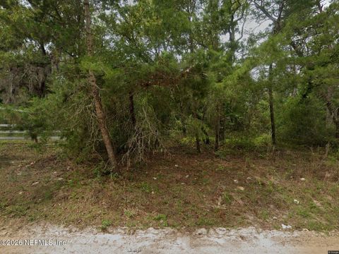 103 RIVERSIDE Trail Satsuma FL 32189