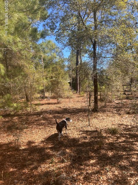 0 HONEYSUCKLE Trail Hawthorne FL 32640