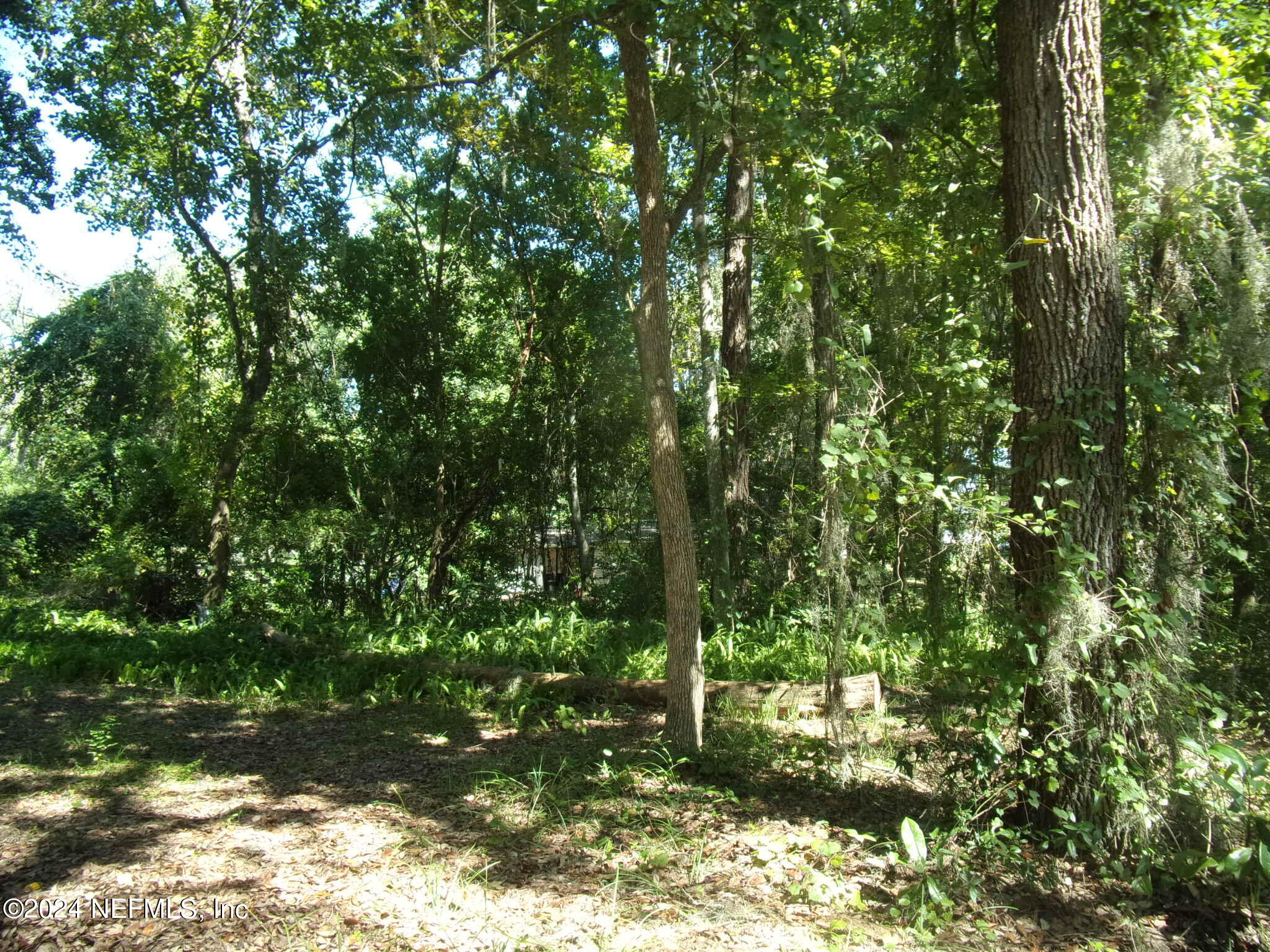 114 RIVER ROAD Drive