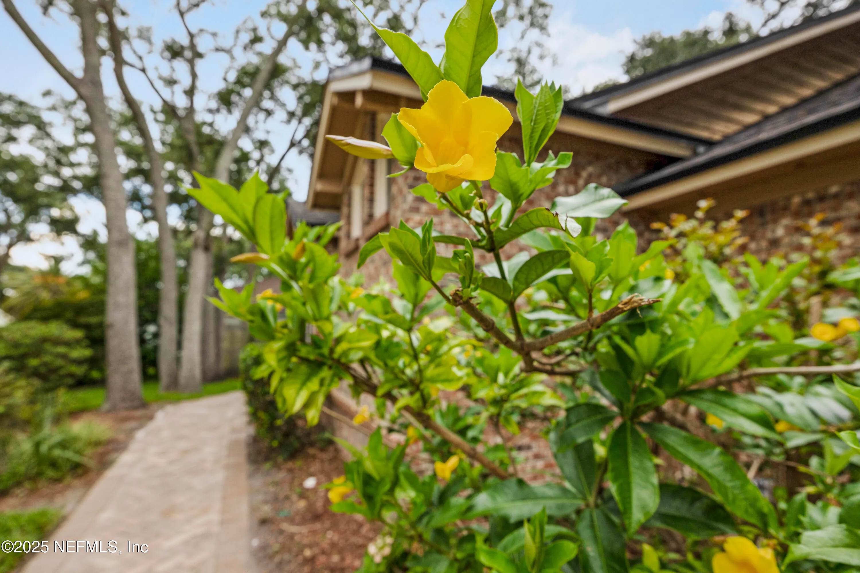 Neptune Beach, Florida 32266, United States, 4 Bedrooms Bedrooms, ,3 BathroomsBathrooms,Residential,Active,164908