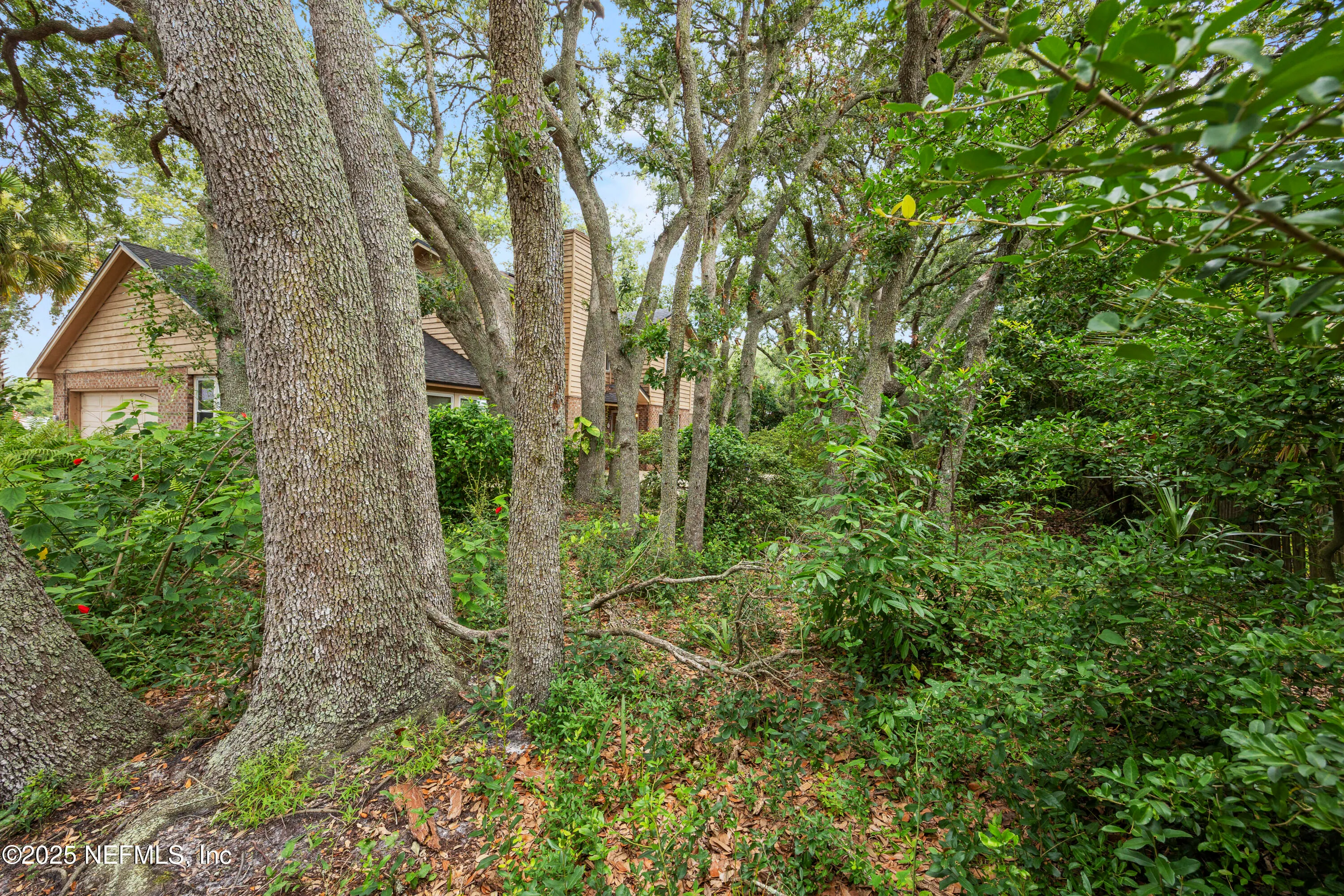 Neptune Beach, Florida 32266, United States, 4 Bedrooms Bedrooms, ,3 BathroomsBathrooms,Residential,Active,164908