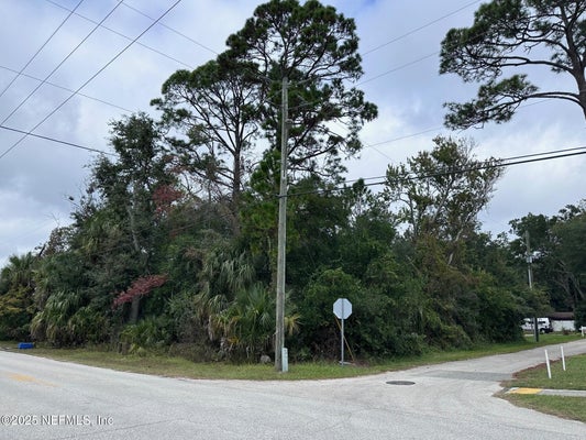 DUTTON ISLAND RD W, ATLANTIC BEACH, FL 32233 - Image 68cfb6deb8992d2d121fbedd52fd8cc8/554716721