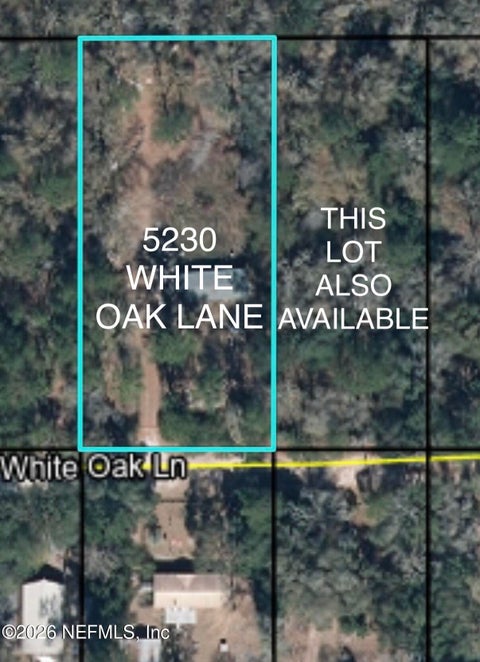 Photo of 5230 WHITE OAK Lane, Middleburg, FL 32068 (MLS # 2166297)