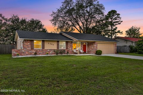 A home in Orange Park