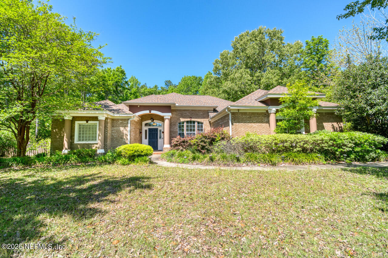 50 DAFFODIL Cove