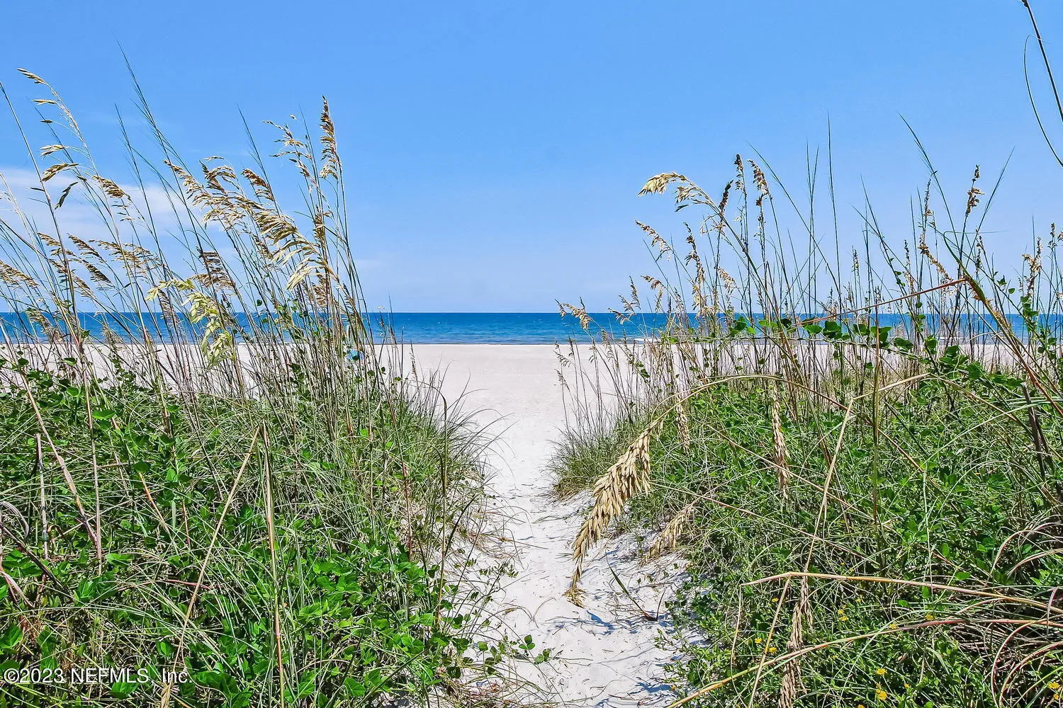 Fernandina Beach, Florida 32034, United States, 4 Bedrooms Bedrooms, ,3 BathroomsBathrooms,Residential,Pending,18043