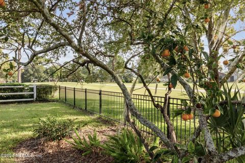 A home in Green Cove Springs