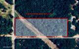 0 SUWANNEE OAKS DRIVE, O'BRIEN, FL 32071 - Image 702a5b76a2ece03c0aae7763fb41d40c/4255368980