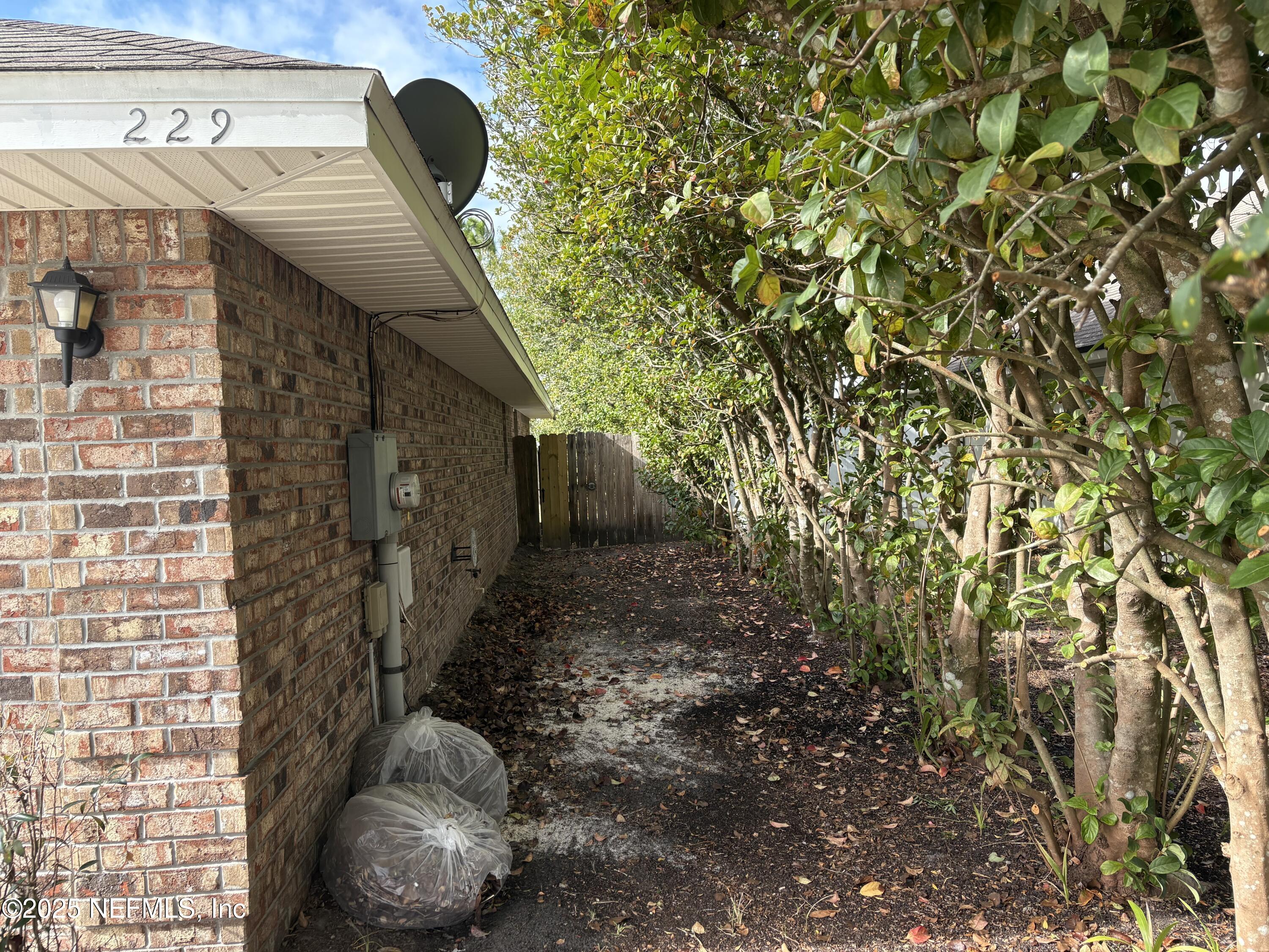 229 CAROLINA JASMINE Lane