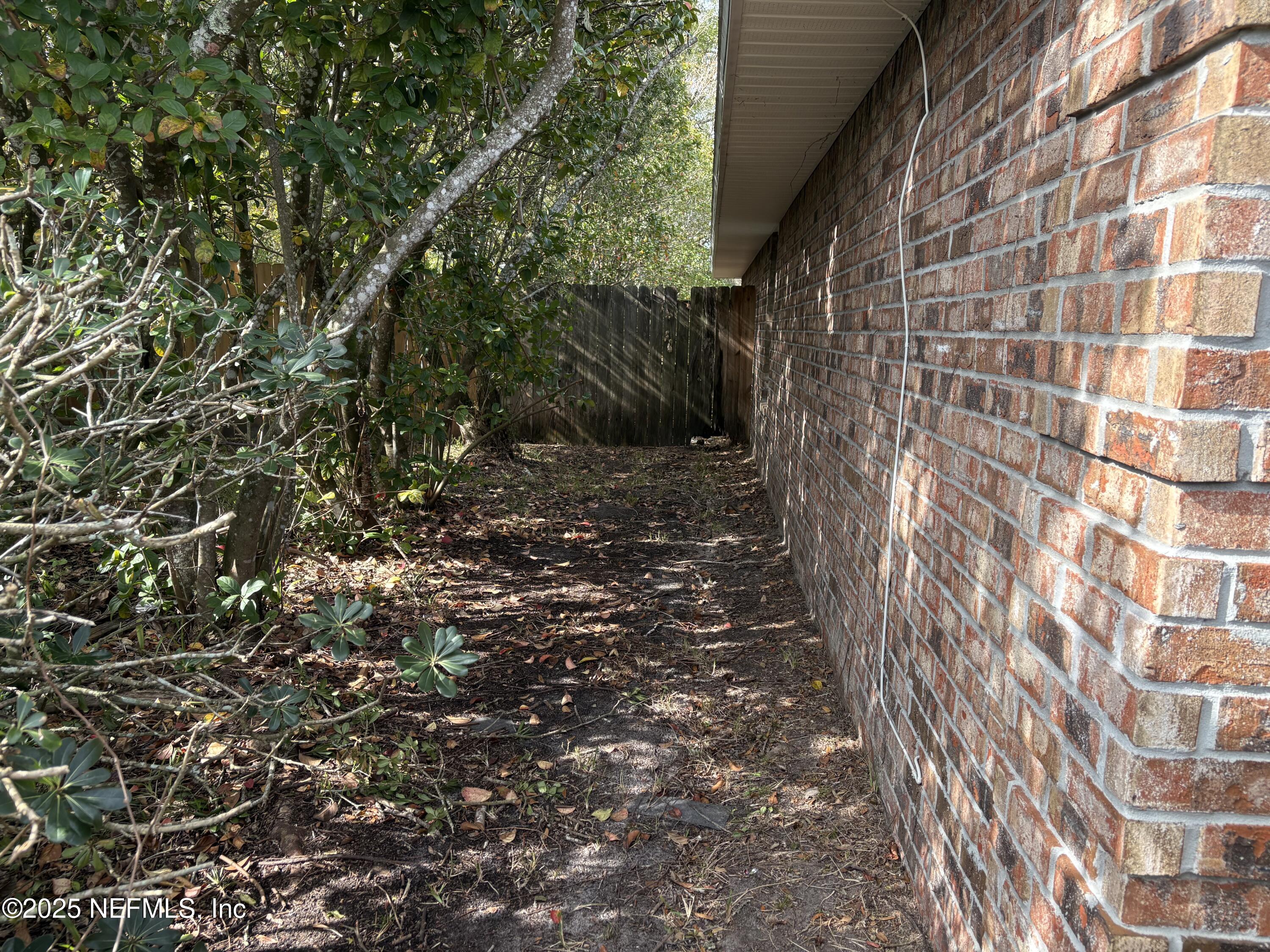 229 CAROLINA JASMINE Lane