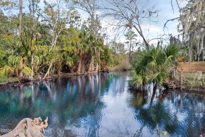 Tidal Creek