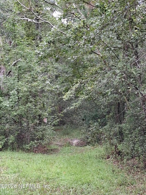 Photo of 0 SKIPPER Road, Middleburg, FL 32068 (MLS # 2167068)