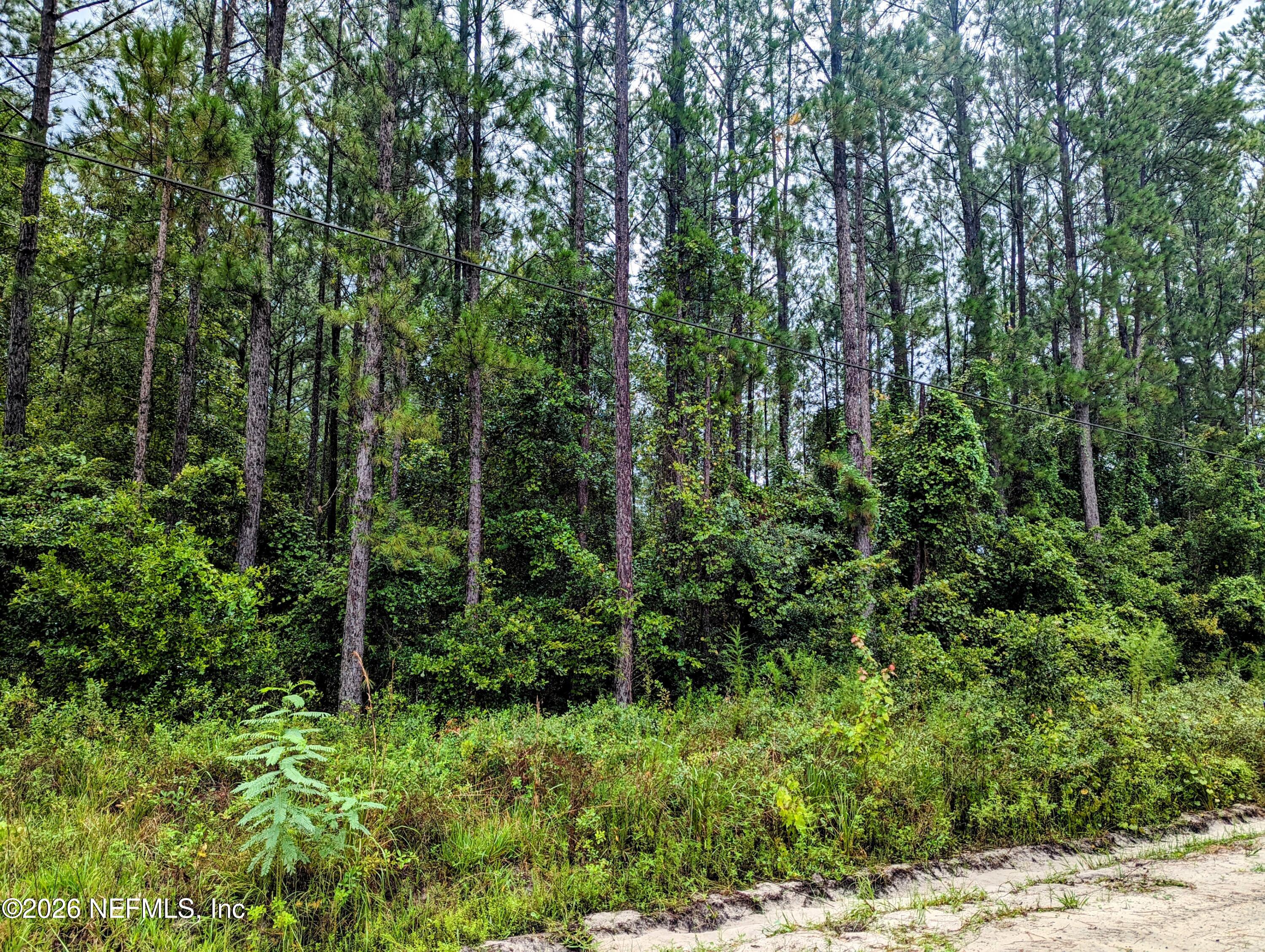 4436 LORI LOOP Road
