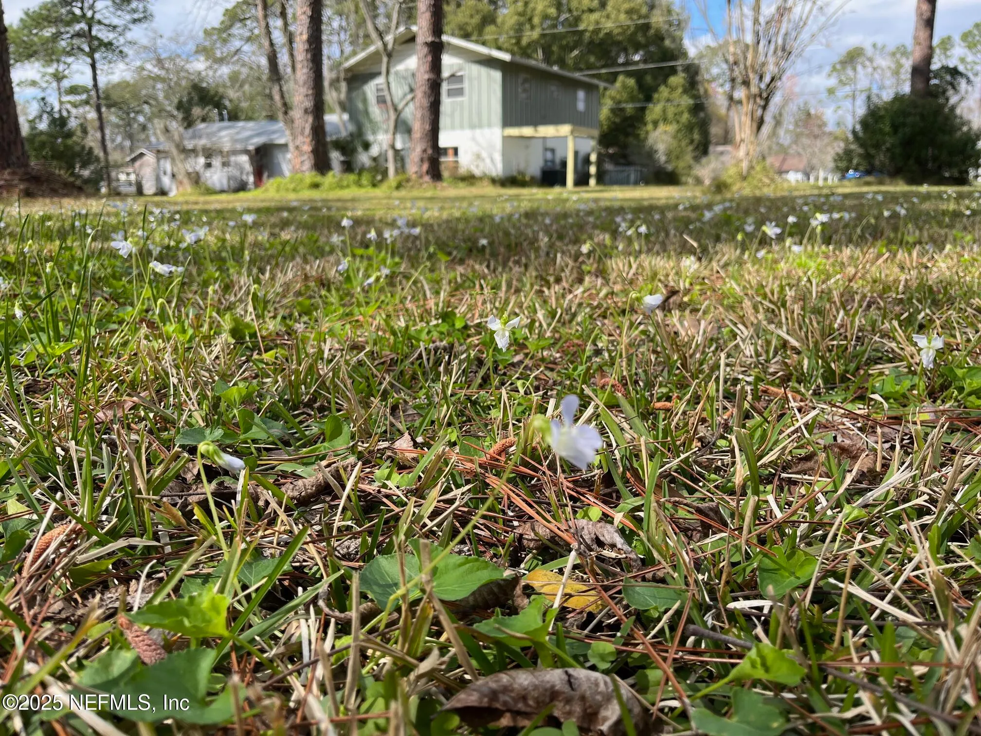 Jacksonville, Florida 32205, United States, ,Land,Active,225902