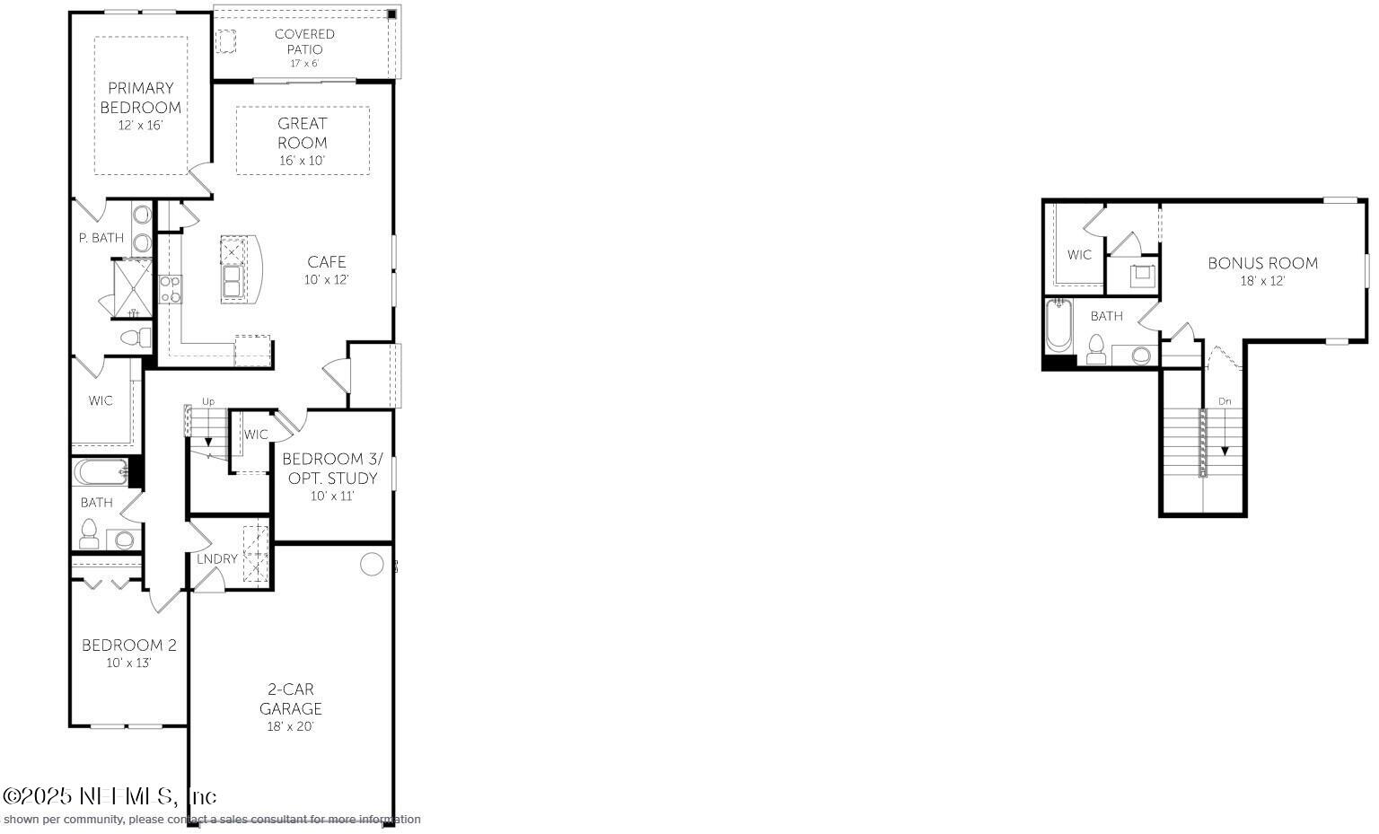 50 WATER ELM Walk