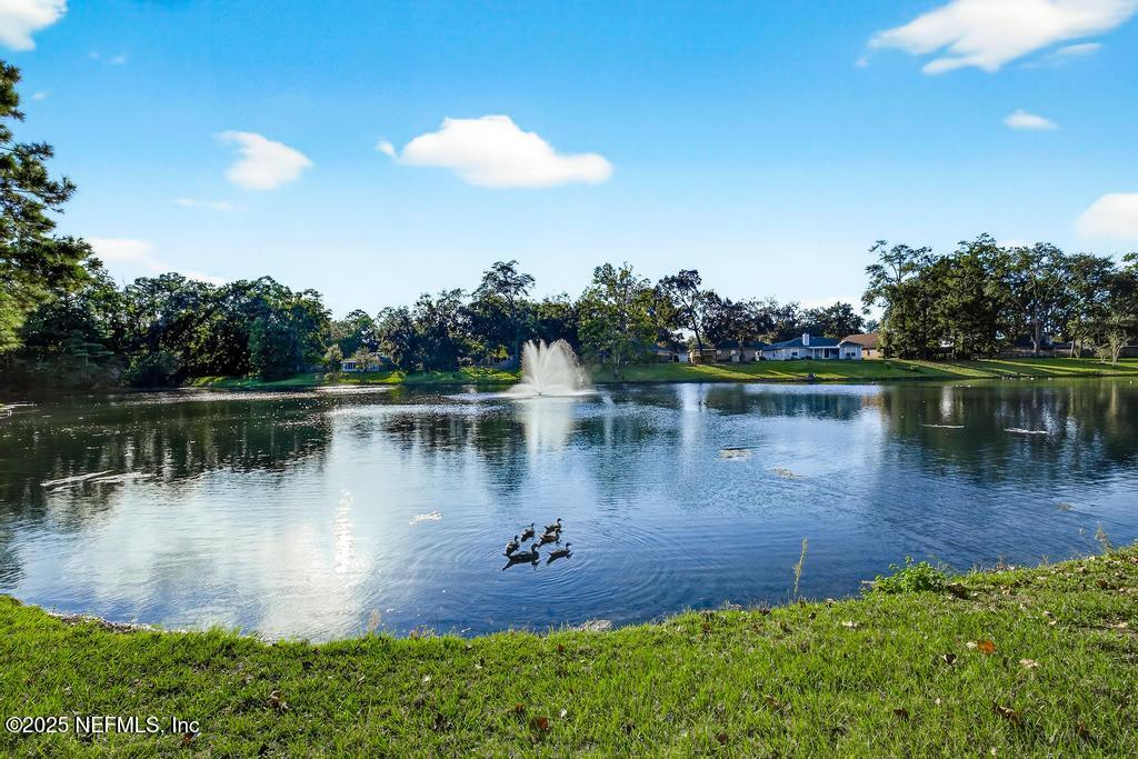 1662 SPRING BRANCH Drive E