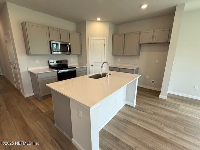 209 BRAZIL NUT Circle