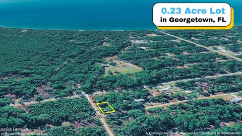 TBD CORNER LOT 1 BIRCH Boulevard Georgetown FL 32139