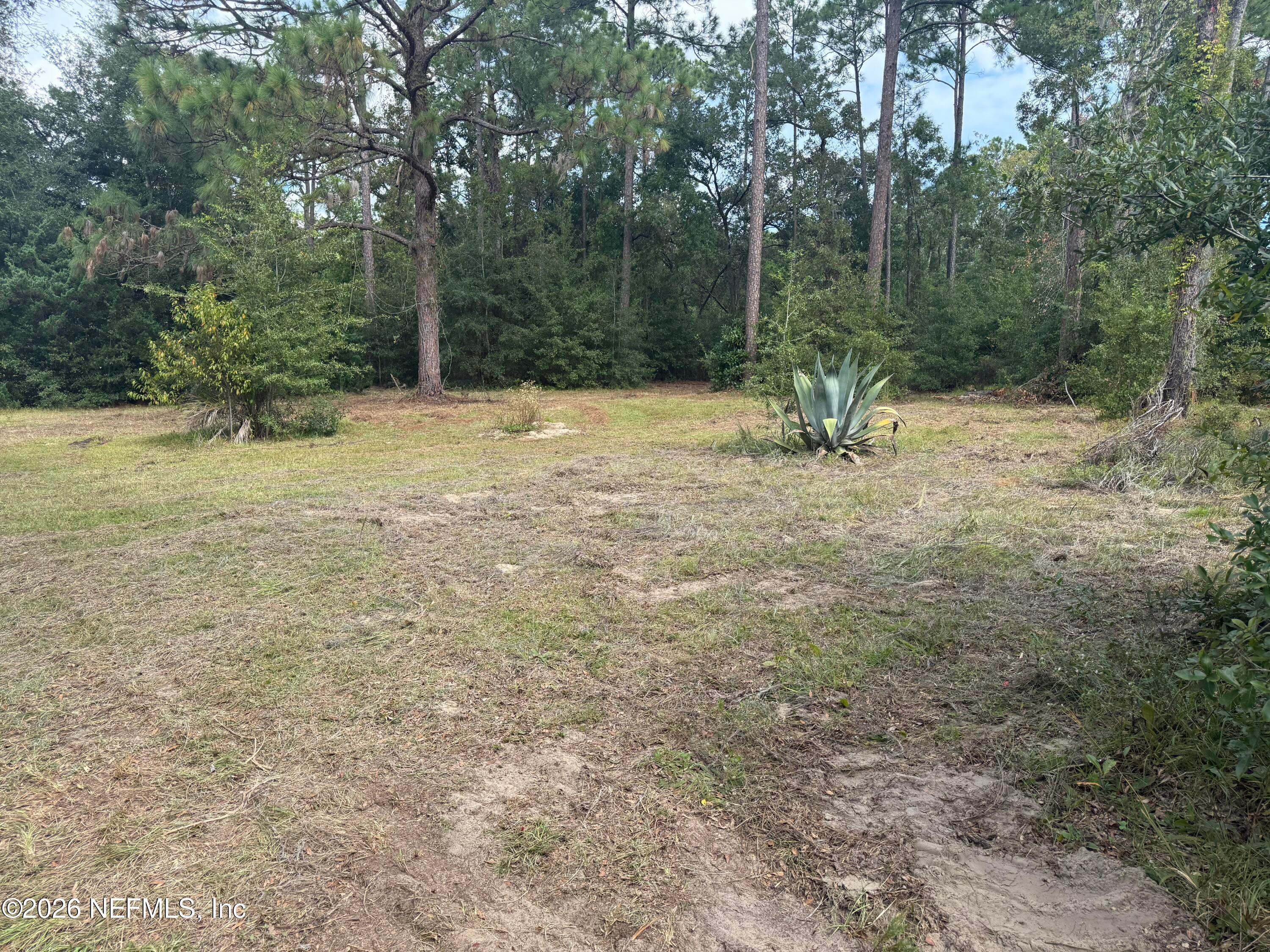 86085 MELISSA Road - Photo 3