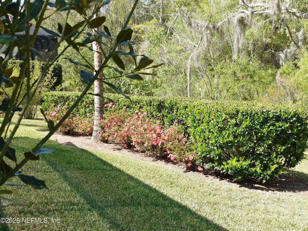 listing image 64