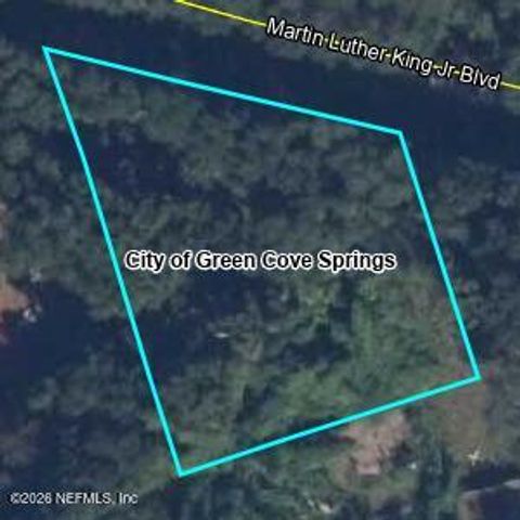 Photo of 0 MARTIN LUTHER KING JR Boulevard, Green Cove Springs, FL 32043 (MLS # 2144034)