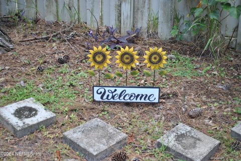 A home in Jacksonville