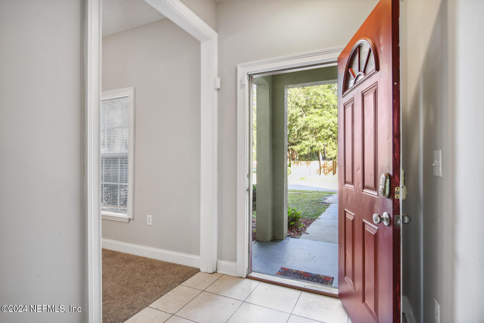 3678 LONGLEAF FOREST Lane