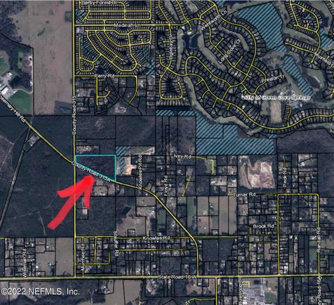 3725 CO RD 315A Green Cove Springs FL 32043