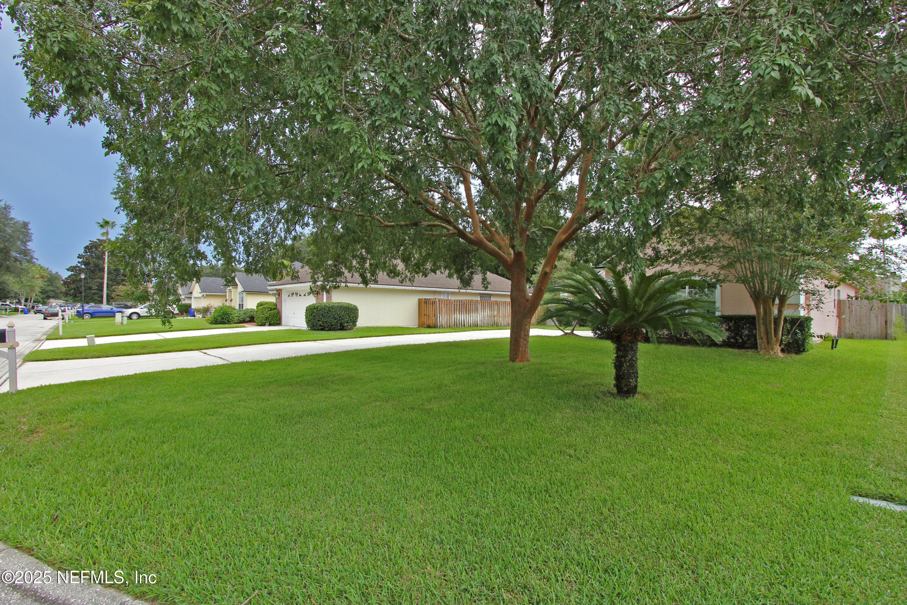 1121 ANDREA Way