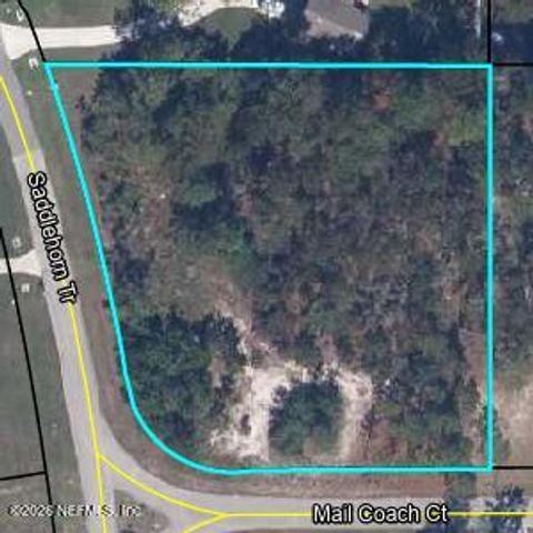 Photo of 4200 MAIL COACH Court, Middleburg, FL 32068 (MLS # 2153189)