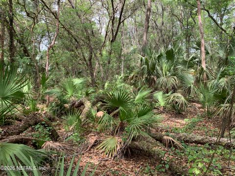 00 OLD WOODS Road Interlachen FL 32148