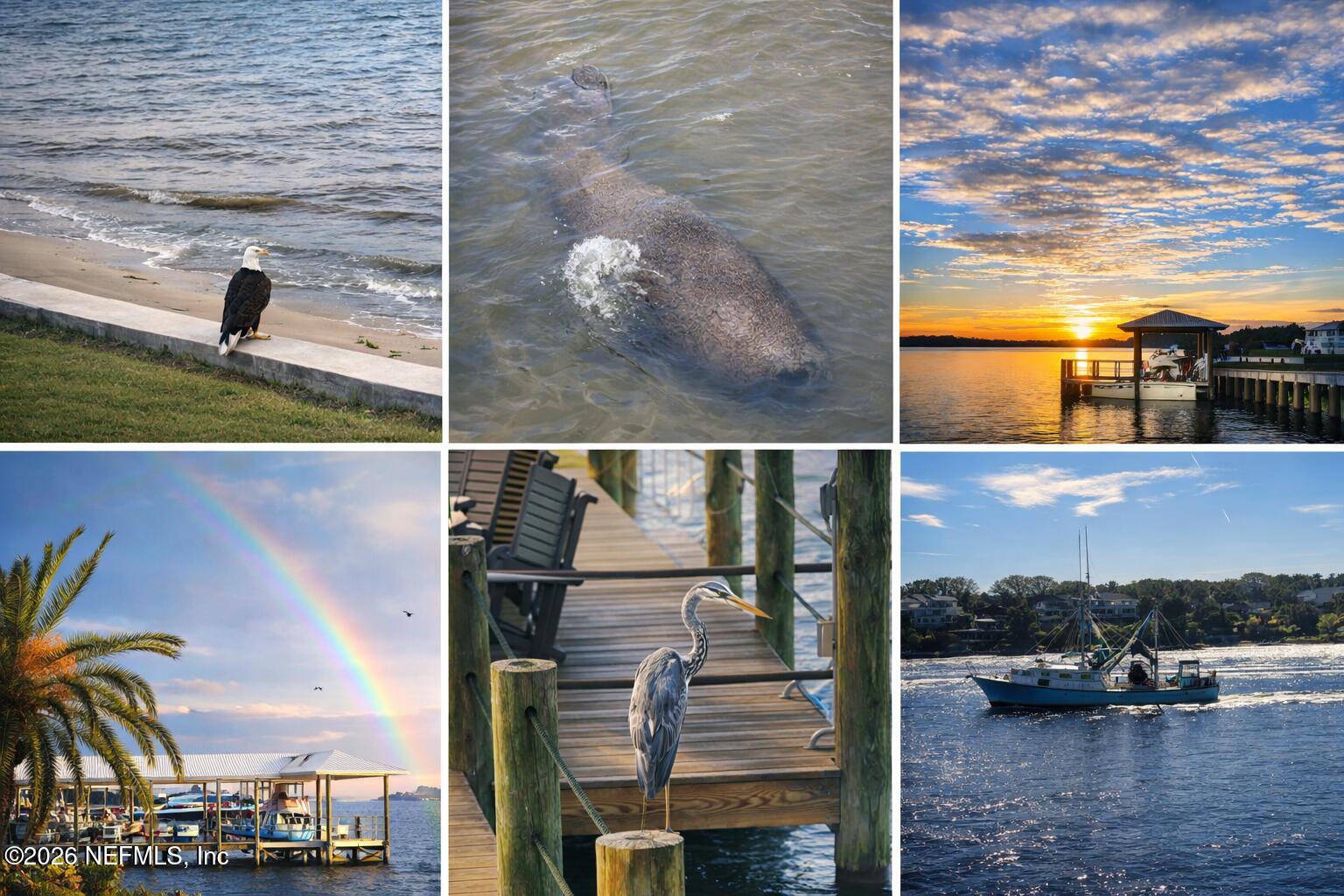 Jacksonville, Florida, 32226, United States, 4 Bedrooms Bedrooms, ,4 BathroomsBathrooms,Residential,Active,2035565